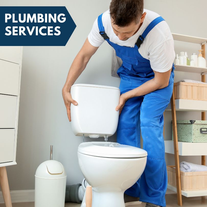 Plumbing Company in Loraine, IL